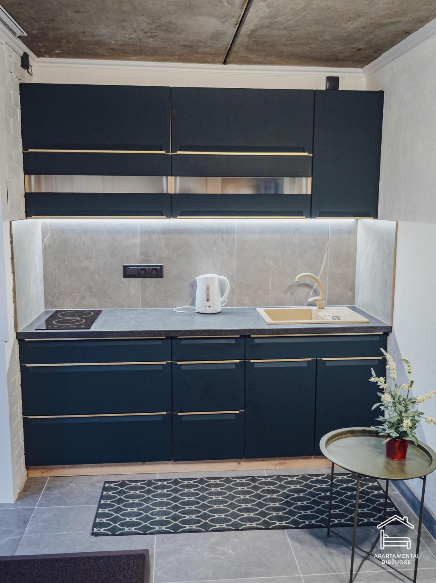 Dzīvoklis Apartamentai Birzuose, Cozy Garage