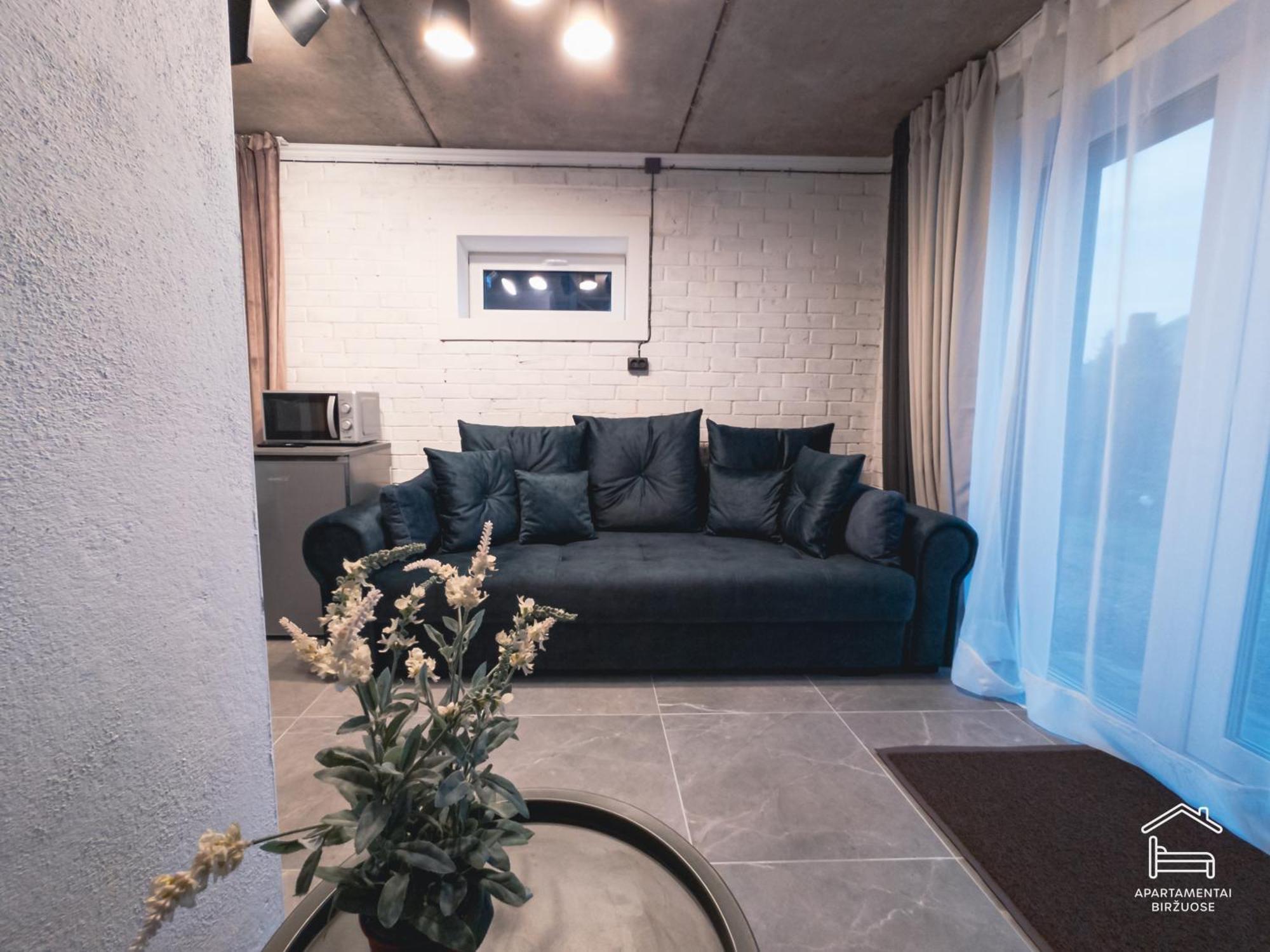 Apartamentai Birzuose, Cozy Garage Dzīvoklis *